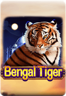 Bengal Tiger